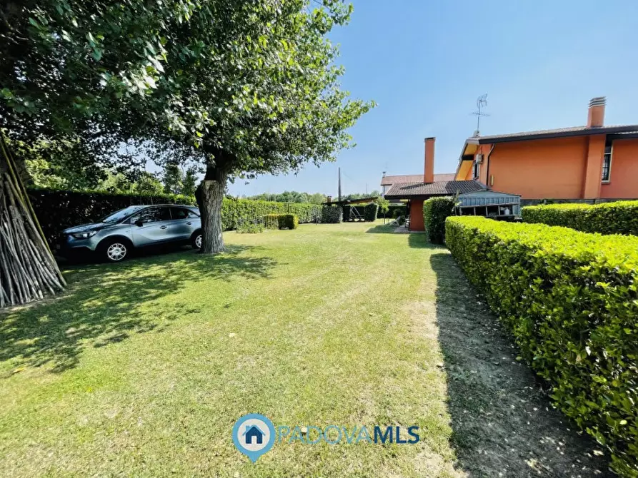 Immagine 23 di Villa in vendita  in via cucchetti 74 a Noventa Padovana