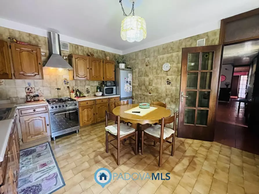 Immagine 25 di Villa in vendita  in via cucchetti 74 a Noventa Padovana