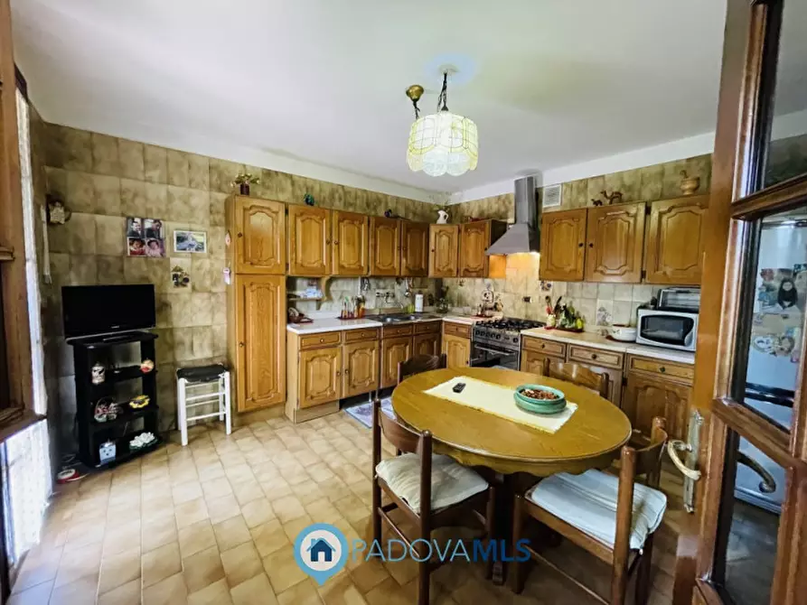 Immagine 26 di Villa in vendita  in via cucchetti 74 a Noventa Padovana