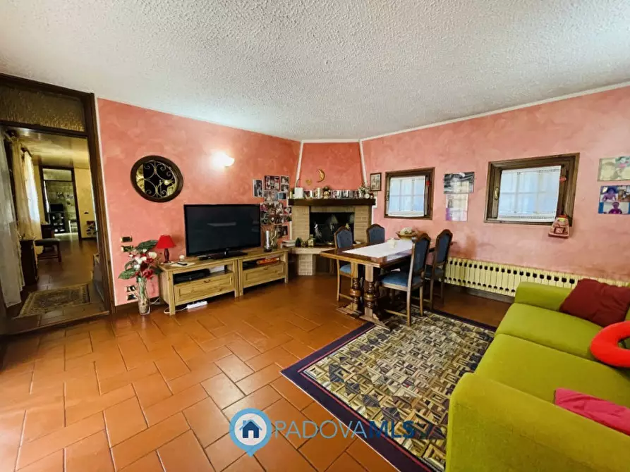 Immagine 30 di Villa in vendita  in via cucchetti 74 a Noventa Padovana