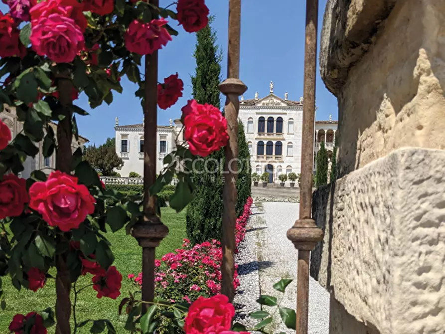 Immagine 24 di Villa in vendita  in Via Palladio a Asolo