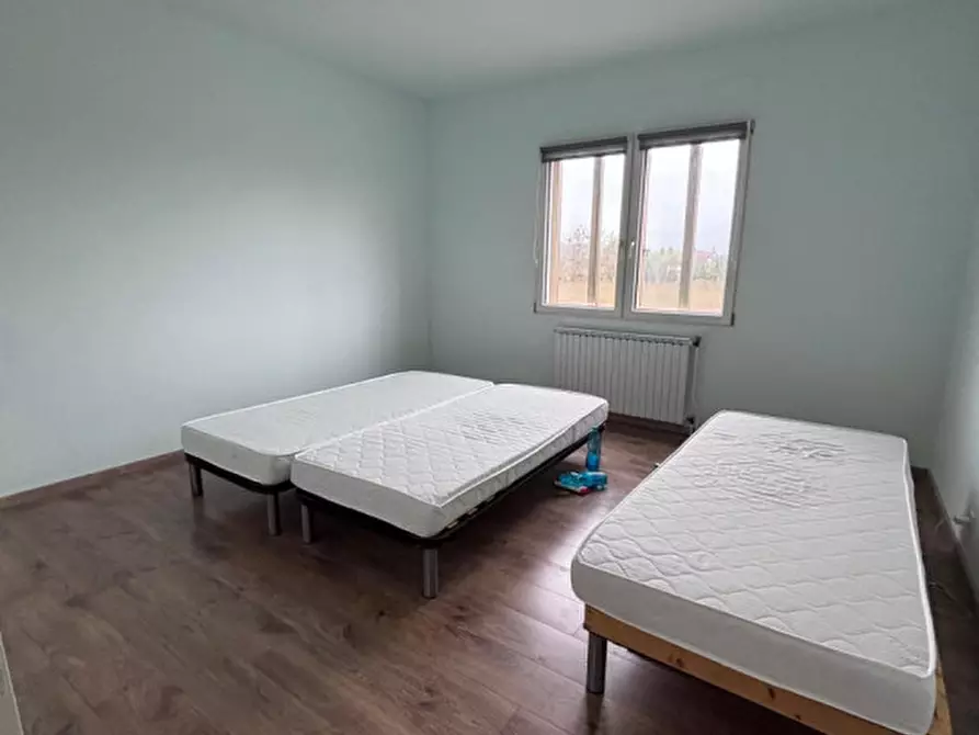 Immagine 5 di Casa indipendente in vendita  a Masi