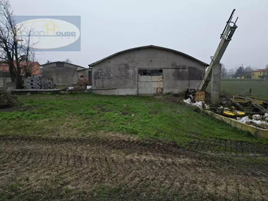 Immagine 3 di Capannone industriale in vendita  in Via Imperiale 60 a Argenta