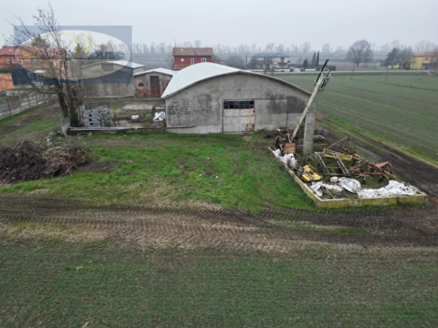 Immagine 4 di Capannone industriale in vendita  in Via Imperiale 60 a Argenta