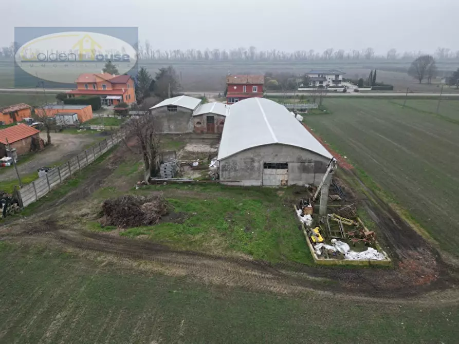 Immagine 5 di Capannone industriale in vendita  in Via Imperiale 60 a Argenta