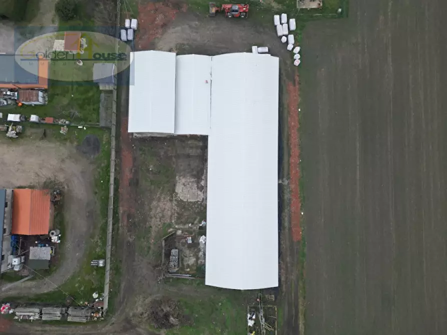 Immagine 6 di Capannone industriale in vendita  in Via Imperiale 60 a Argenta