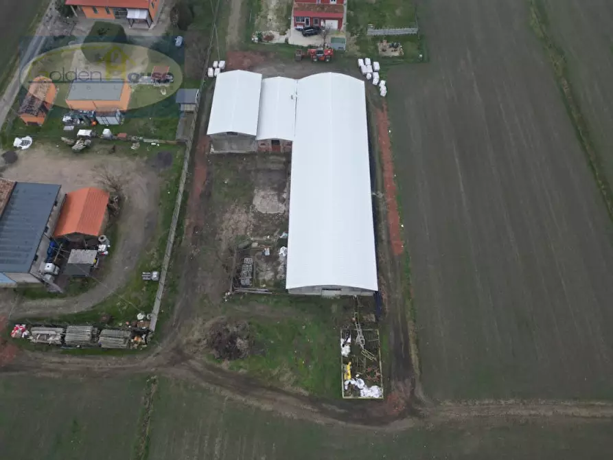 Immagine 7 di Capannone industriale in vendita  in Via Imperiale 60 a Argenta