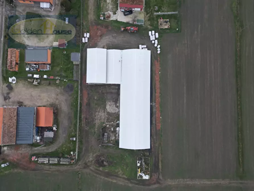 Immagine 8 di Capannone industriale in vendita  in Via Imperiale 60 a Argenta
