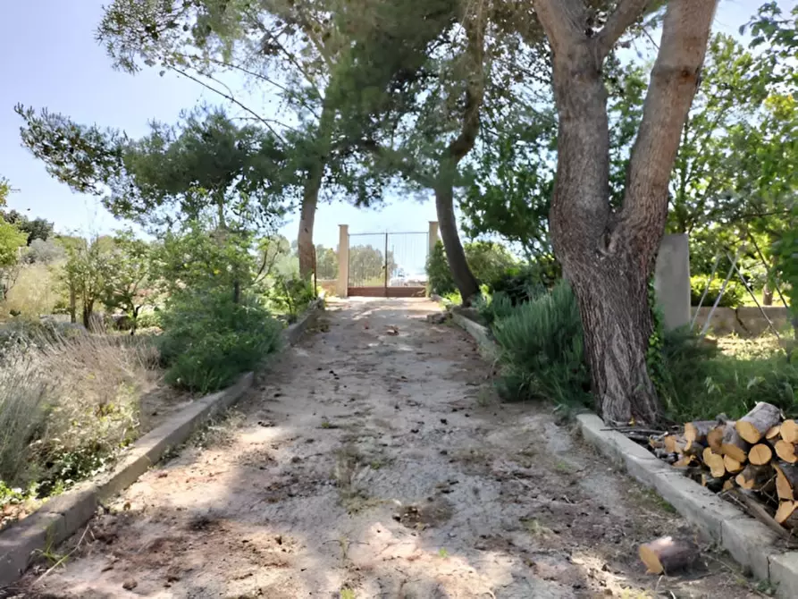 Immagine 8 di Appartamento in vendita  in C.da Santuzza a Caltanissetta