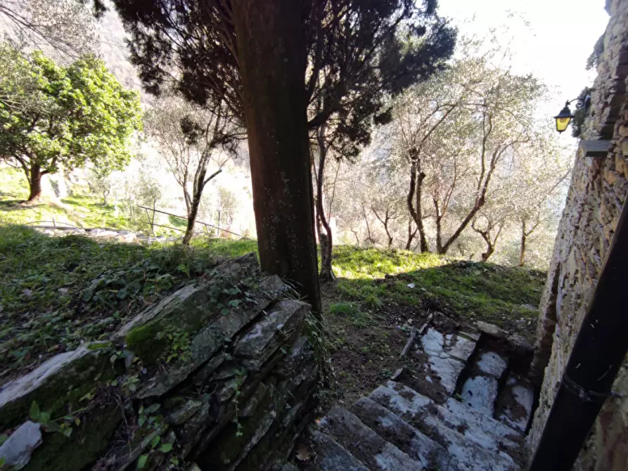 Immagine 26 di Casa bifamiliare in vendita  in montepegli a Rapallo