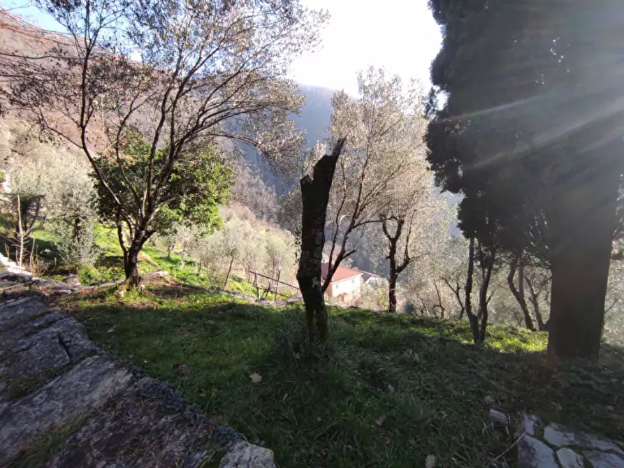 Immagine 27 di Casa bifamiliare in vendita  in montepegli a Rapallo