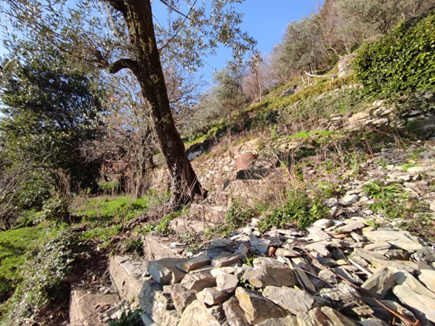 Immagine 28 di Casa bifamiliare in vendita  in montepegli a Rapallo