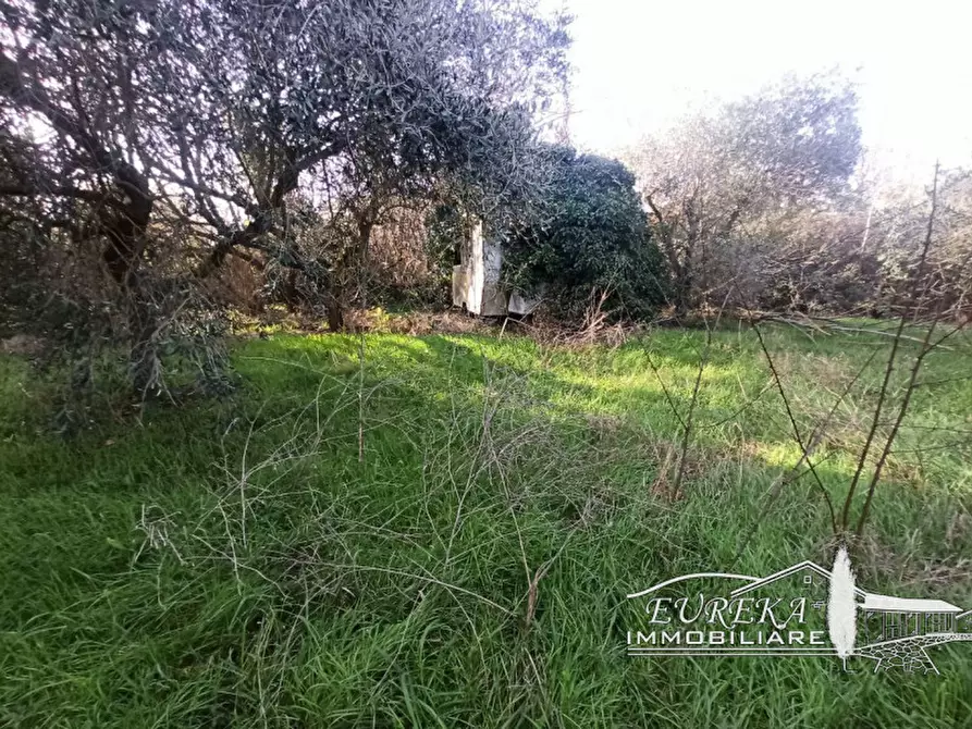 Immagine 5 di Terreno in vendita  in gioiella a Castiglione Del Lago