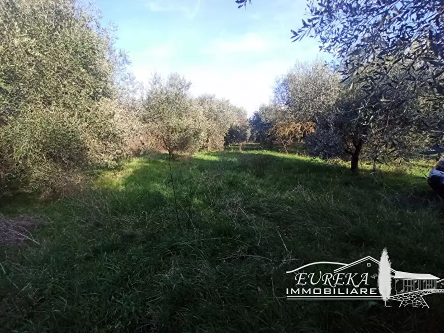 Immagine 6 di Terreno in vendita  in gioiella a Castiglione Del Lago