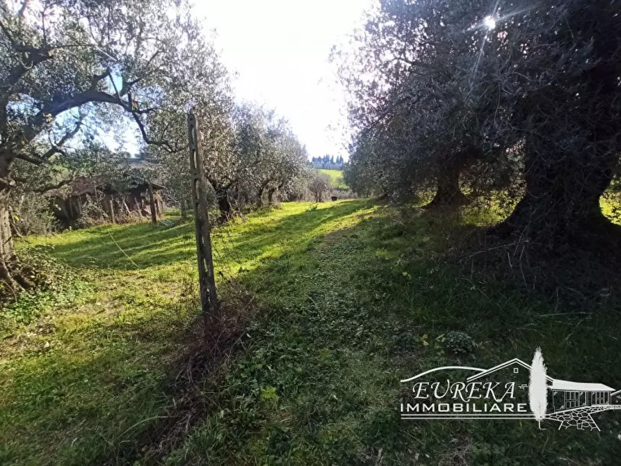 Immagine 8 di Terreno in vendita  in gioiella a Castiglione Del Lago