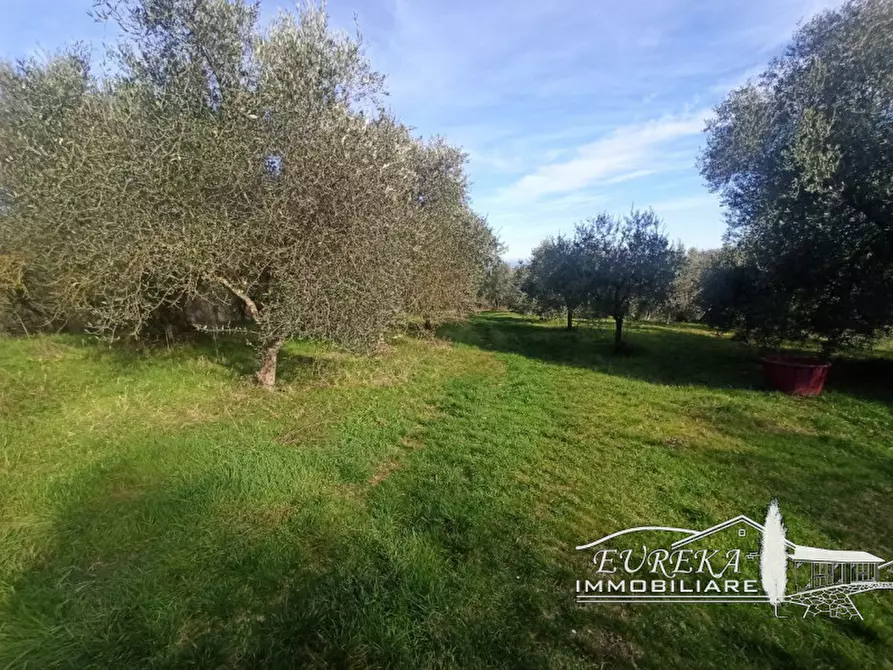 Immagine 11 di Terreno in vendita  in gioiella a Castiglione Del Lago