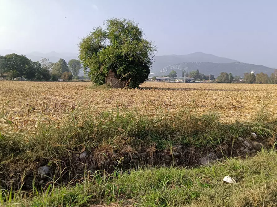 Immagine 3 di Terreno in vendita  in Via Tito Speri a Prevalle