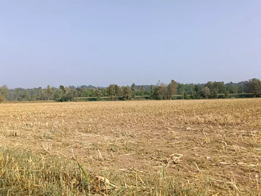 Immagine 13 di Terreno in vendita  in Via Tito Speri a Prevalle