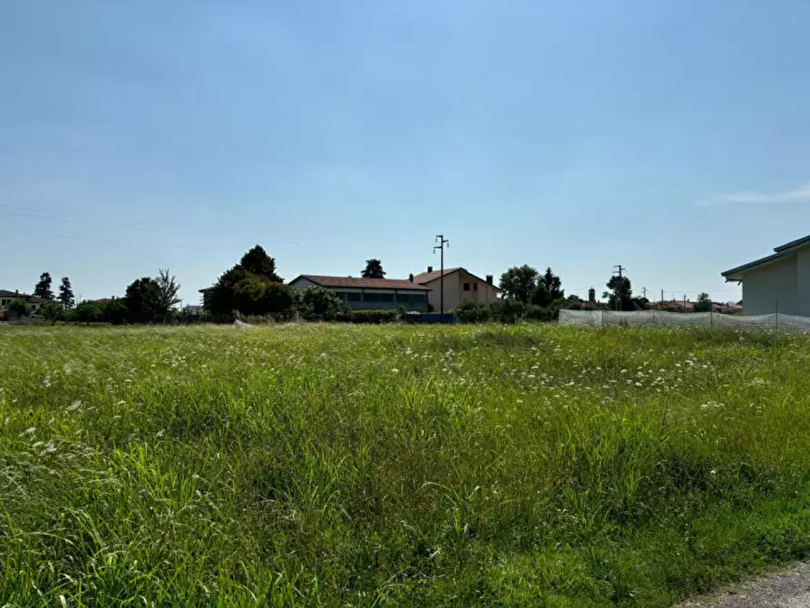 Immagine 3 di Terreno in vendita  a San Pietro Viminario