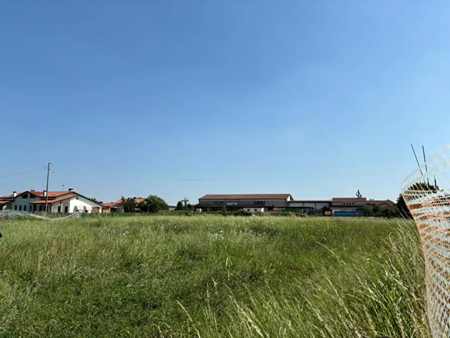 Immagine 4 di Terreno in vendita  a San Pietro Viminario