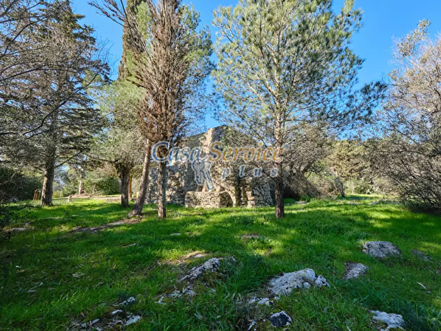 Immagine 5 di Rustico / casale in vendita  in Via La Guardia a Sannicola