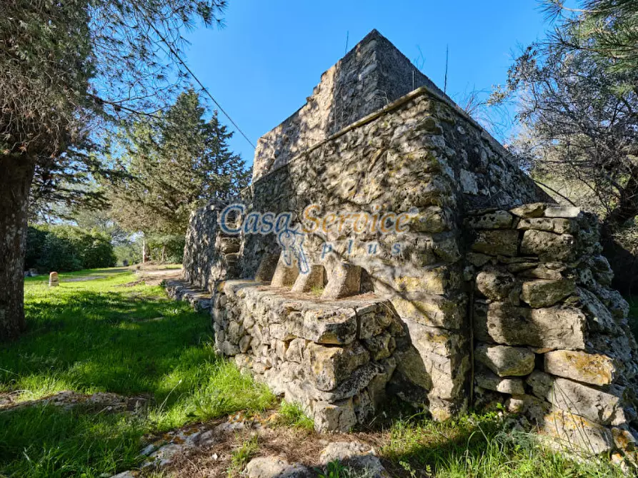 Immagine 6 di Rustico / casale in vendita  in Via La Guardia a Sannicola