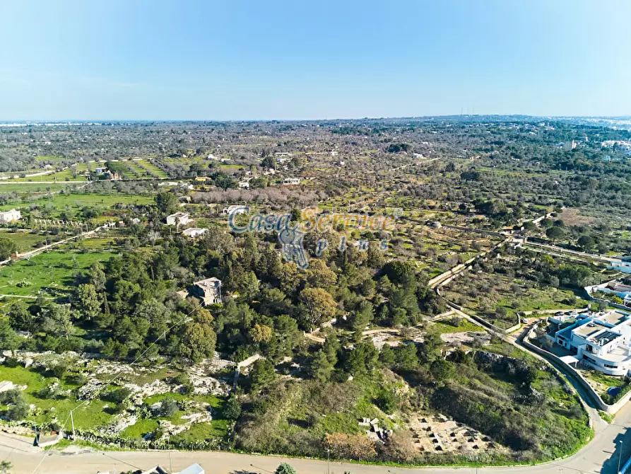 Immagine 26 di Rustico / casale in vendita  in Via La Guardia a Sannicola