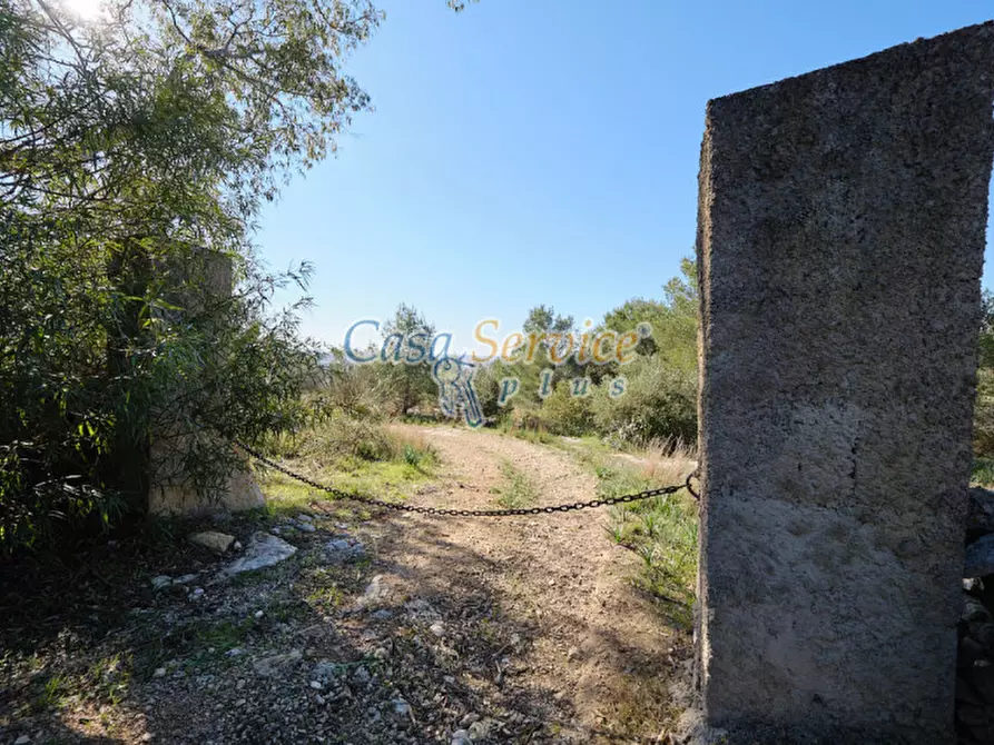 Immagine 30 di Rustico / casale in vendita  in Via La Guardia a Sannicola