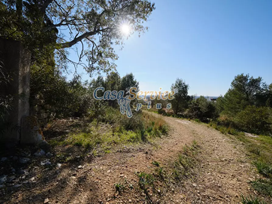 Immagine 31 di Rustico / casale in vendita  in Via La Guardia a Sannicola