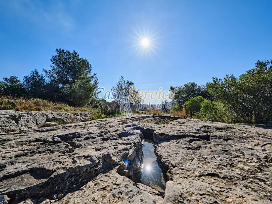 Immagine 32 di Rustico / casale in vendita  in Via La Guardia a Sannicola