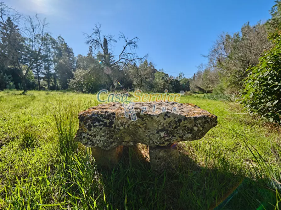 Immagine 34 di Rustico / casale in vendita  in Via La Guardia a Sannicola