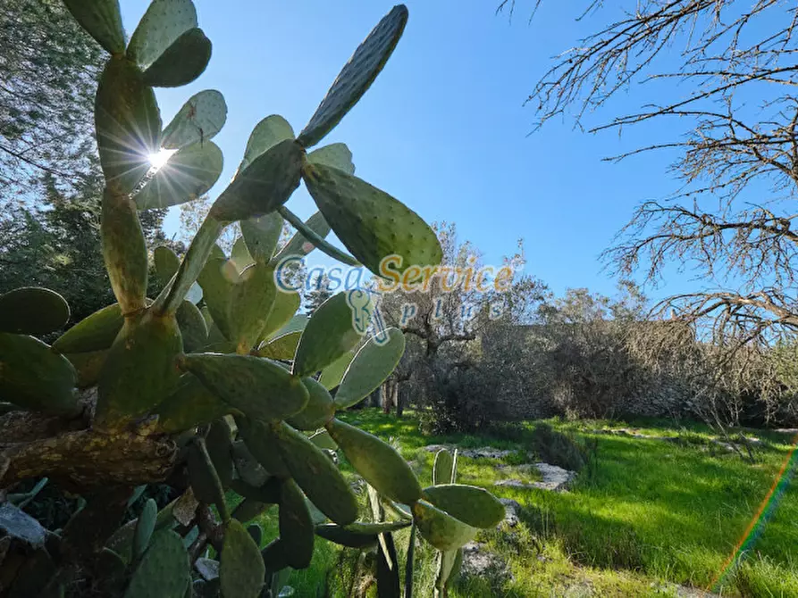 Immagine 35 di Rustico / casale in vendita  in Via La Guardia a Sannicola