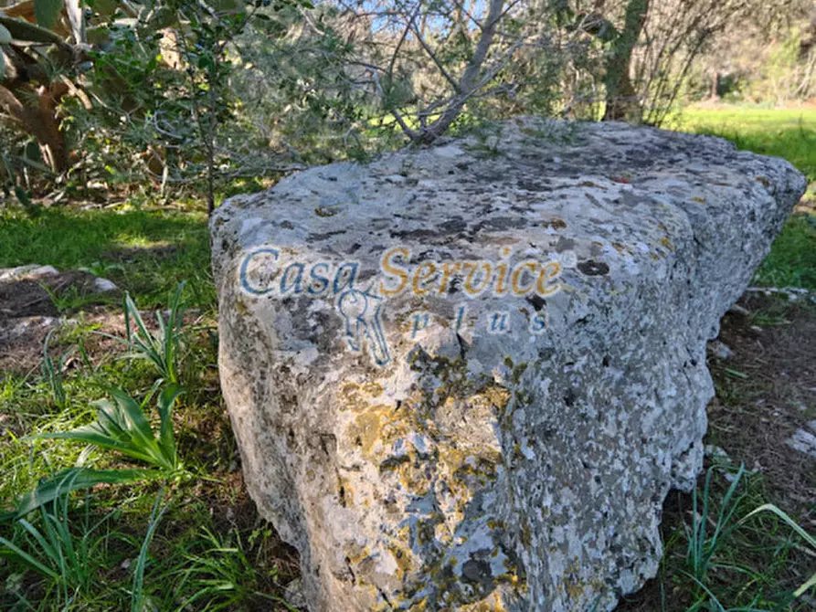 Immagine 36 di Rustico / casale in vendita  in Via La Guardia a Sannicola