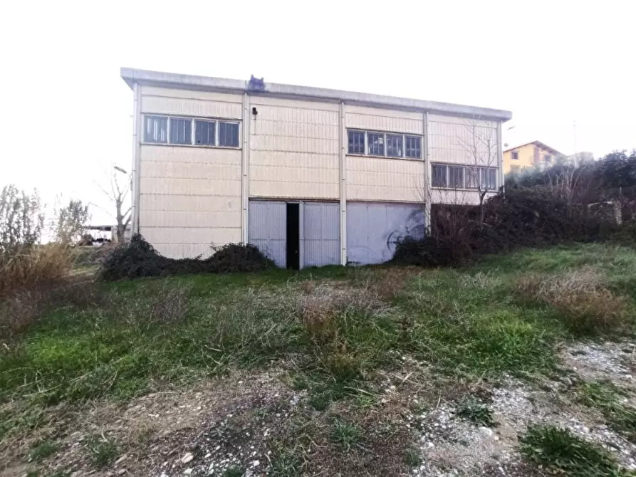 Immagine 7 di Capannone industriale in vendita  a Castiglione Del Lago