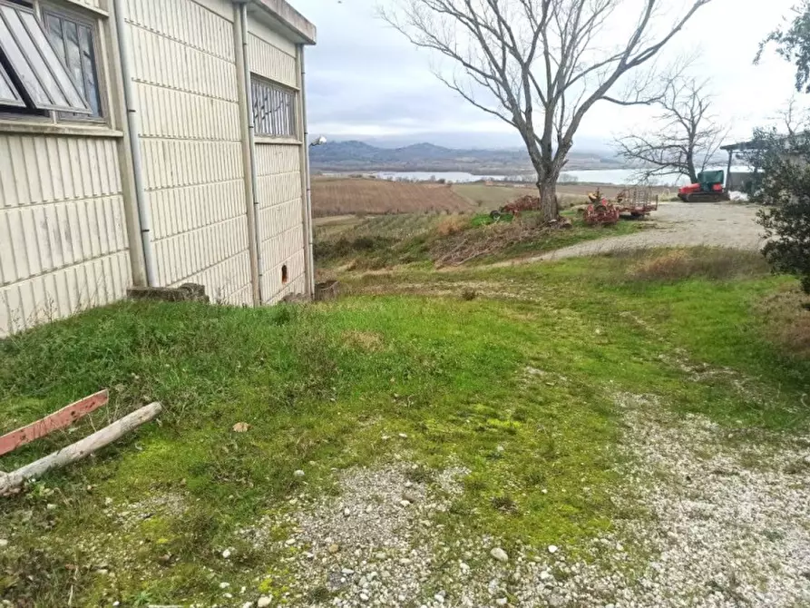 Immagine 8 di Capannone industriale in vendita  a Castiglione Del Lago