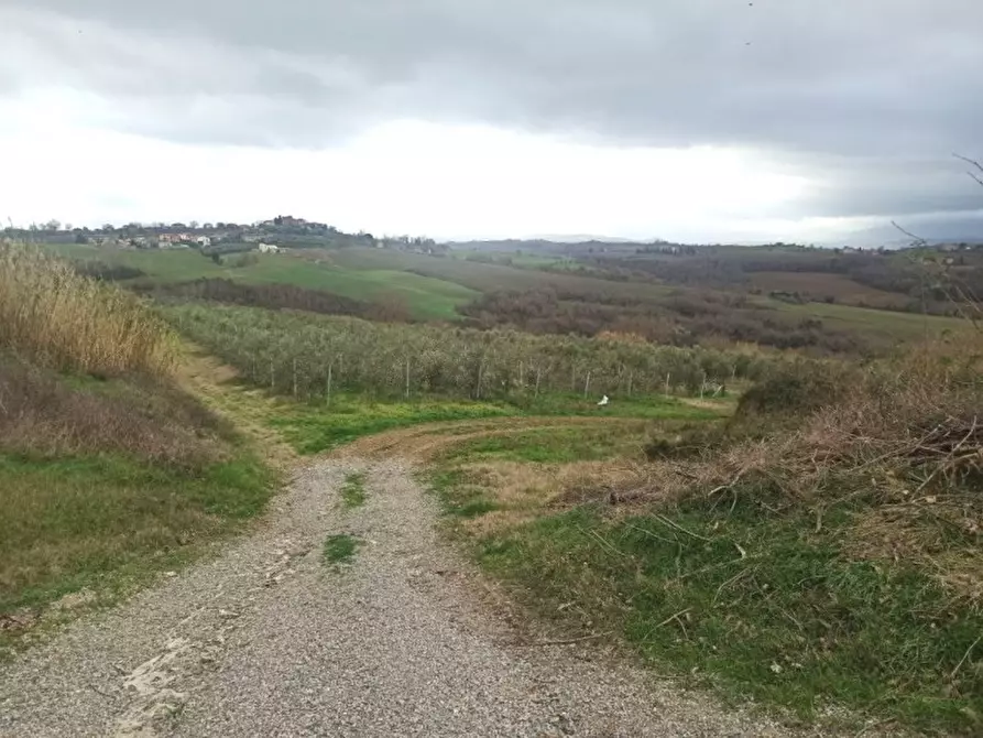 Immagine 10 di Capannone industriale in vendita  a Castiglione Del Lago
