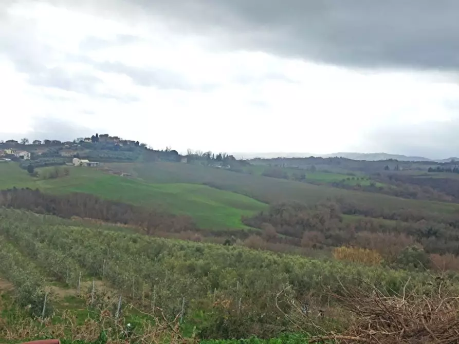 Immagine 11 di Capannone industriale in vendita  a Castiglione Del Lago