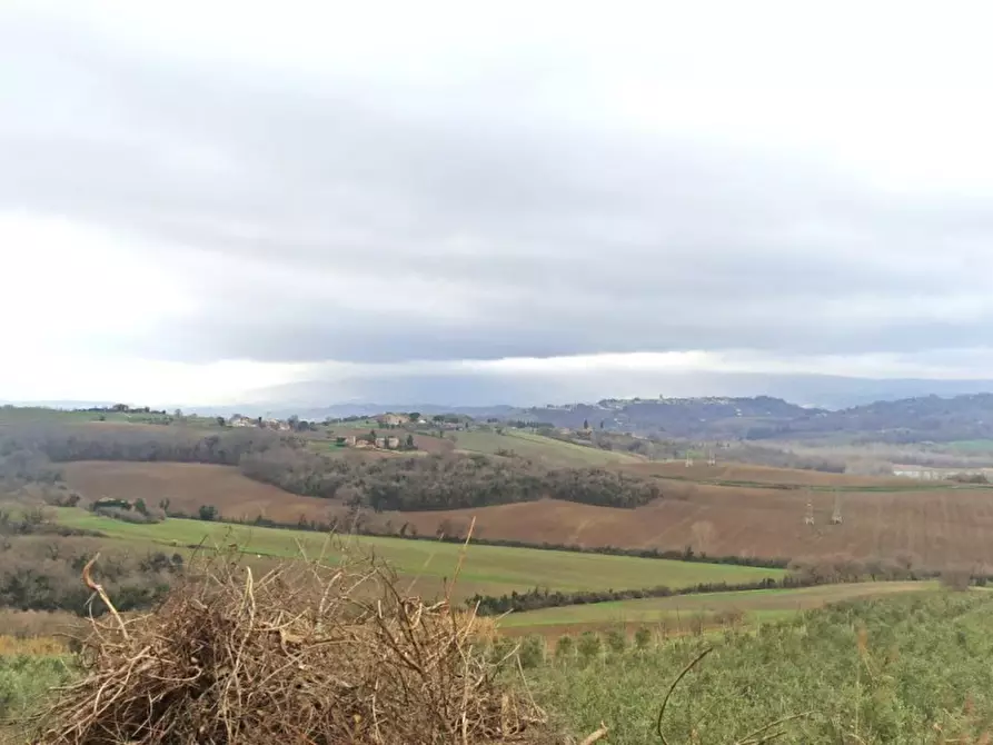 Immagine 12 di Capannone industriale in vendita  a Castiglione Del Lago