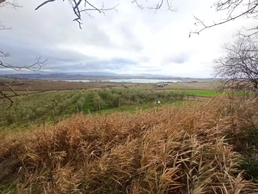 Immagine 13 di Capannone industriale in vendita  a Castiglione Del Lago