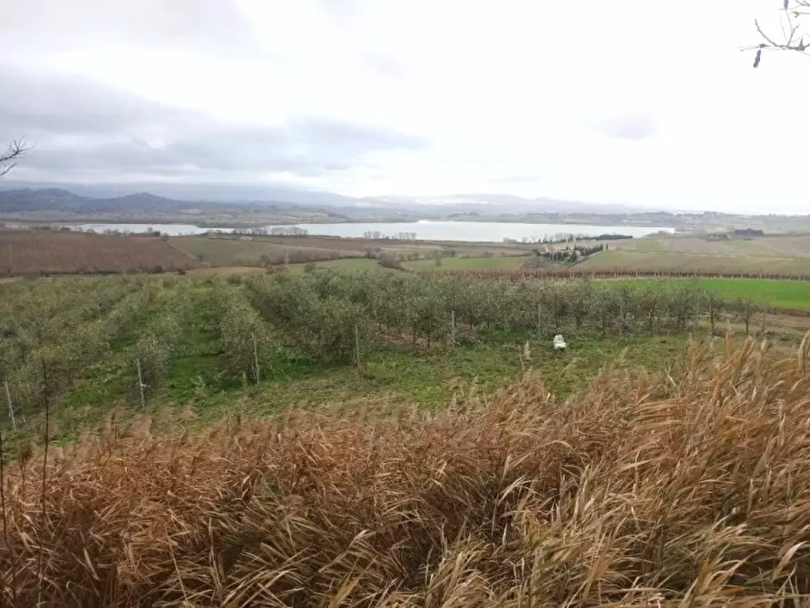 Immagine 14 di Capannone industriale in vendita  a Castiglione Del Lago