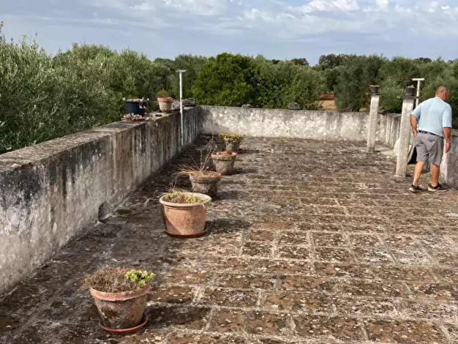Immagine 5 di Rustico / casale in vendita  in Contrada Circiello a Ceglie Messapico