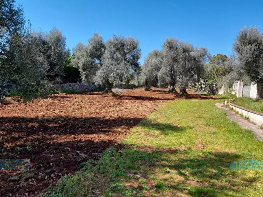 Immagine 32 di Rustico / casale in vendita  in Contrada Circiello a Ceglie Messapico