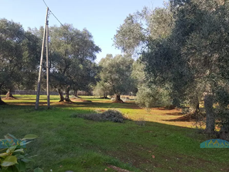 Immagine 37 di Rustico / casale in vendita  in Contrada Circiello a Ceglie Messapico