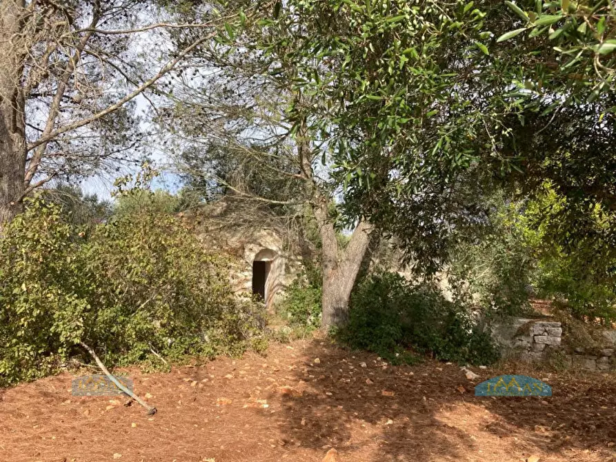 Immagine 39 di Rustico / casale in vendita  in Contrada Circiello a Ceglie Messapico