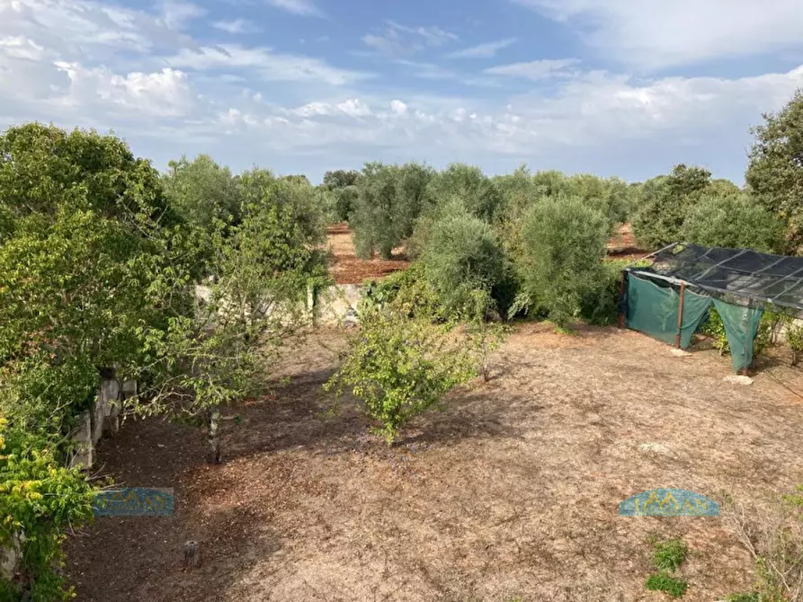 Immagine 43 di Rustico / casale in vendita  in Contrada Circiello a Ceglie Messapico
