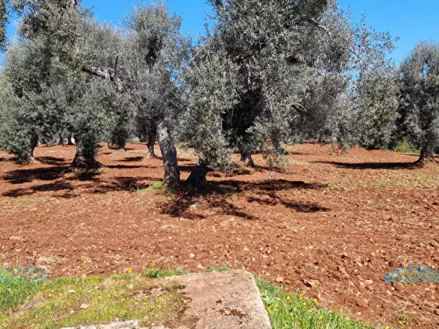 Immagine 44 di Rustico / casale in vendita  in Contrada Circiello a Ceglie Messapico