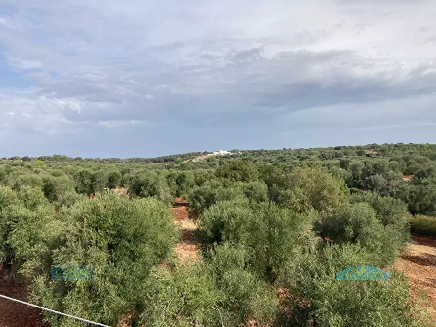 Immagine 49 di Rustico / casale in vendita  in Contrada Circiello a Ceglie Messapico