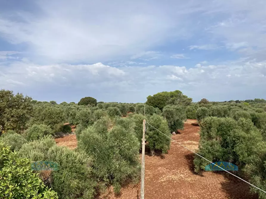 Immagine 50 di Rustico / casale in vendita  in Contrada Circiello a Ceglie Messapico