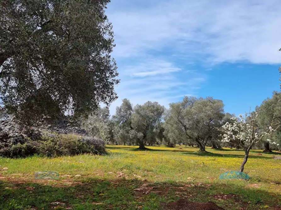 Immagine 52 di Rustico / casale in vendita  in Contrada Circiello a Ceglie Messapico