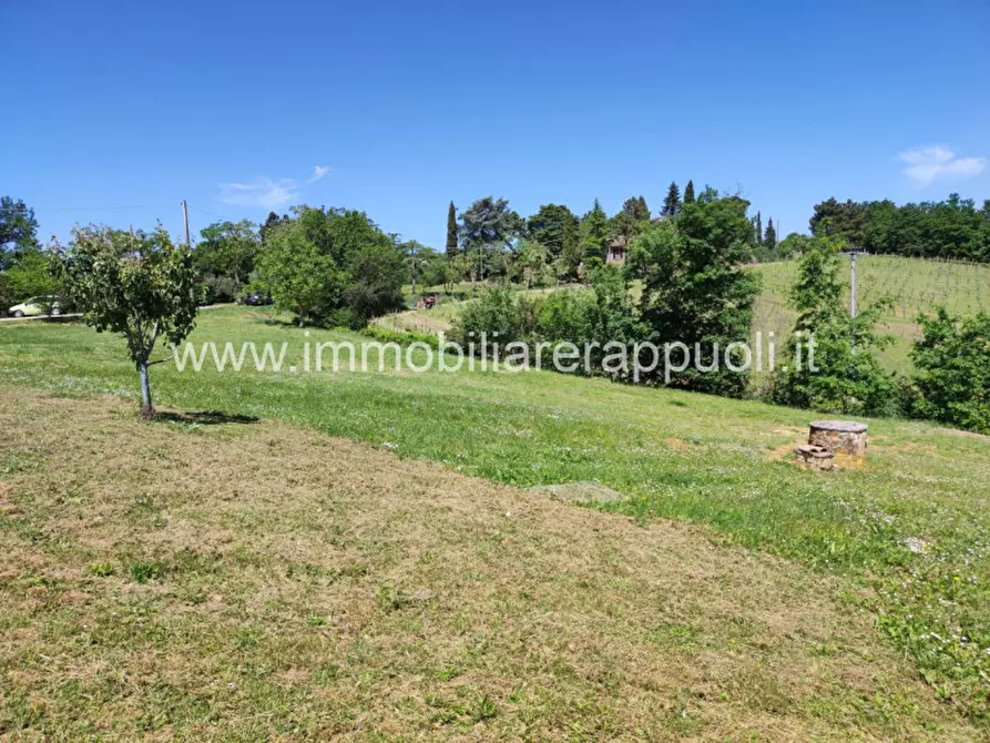 Immagine 4 di Casa indipendente in vendita  a Sinalunga